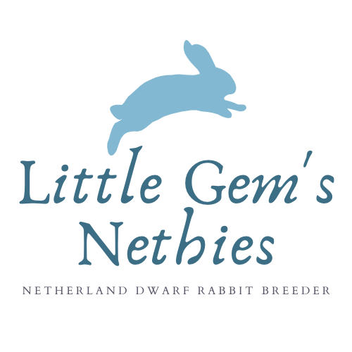 Little Gem's Nethies 1